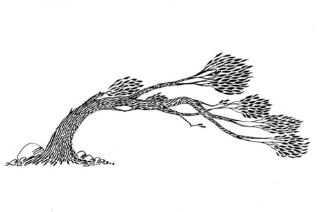 soffia un vento nuovo